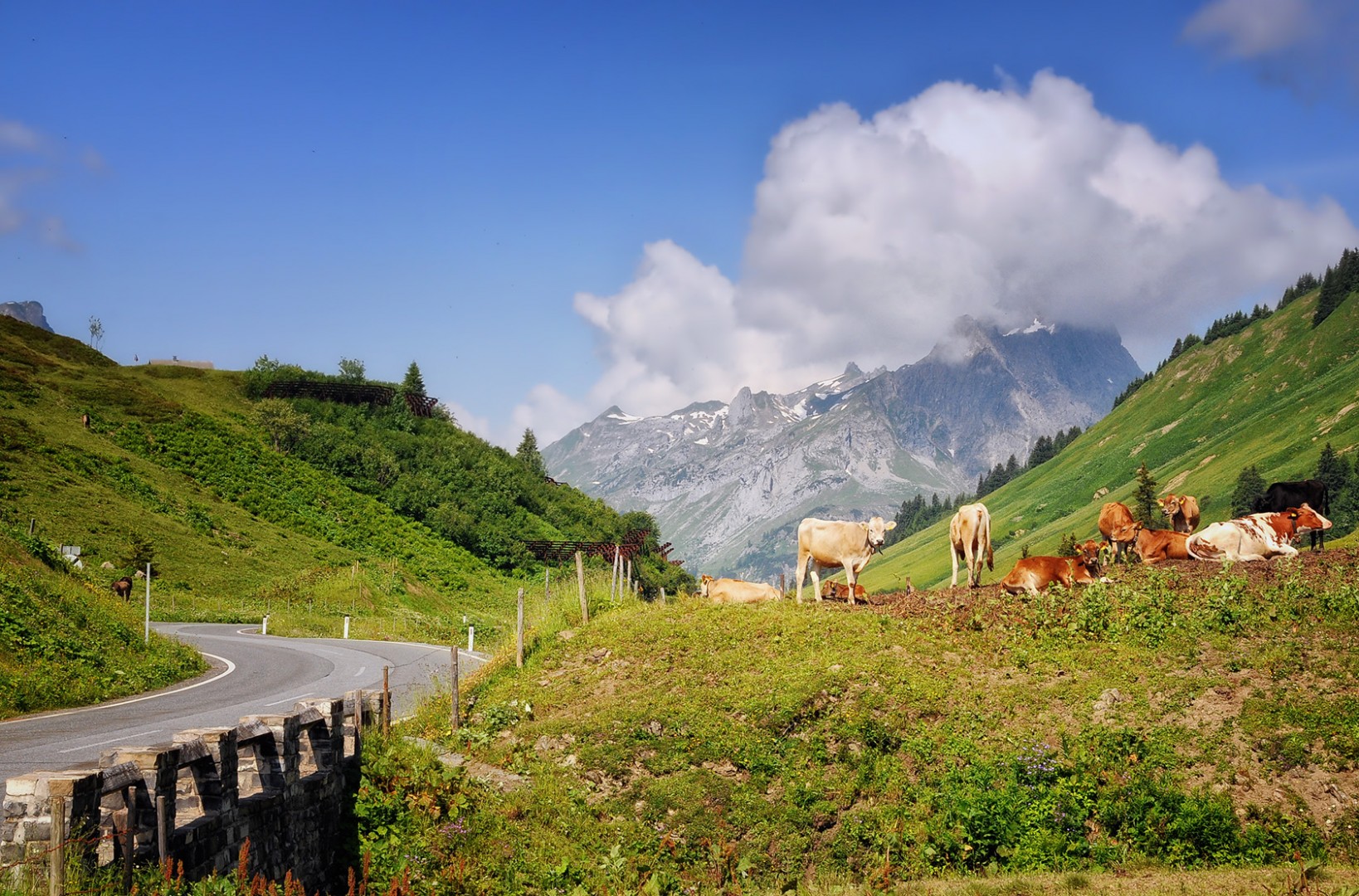 Top of the Alps Motorcycle Tour
