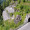 Top of the Alps Motorcycle Tour