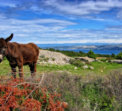 Beautiful Balkans & Adriatic Convertible Driving tour