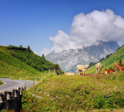 Top of the Alps Motorcycle Tour